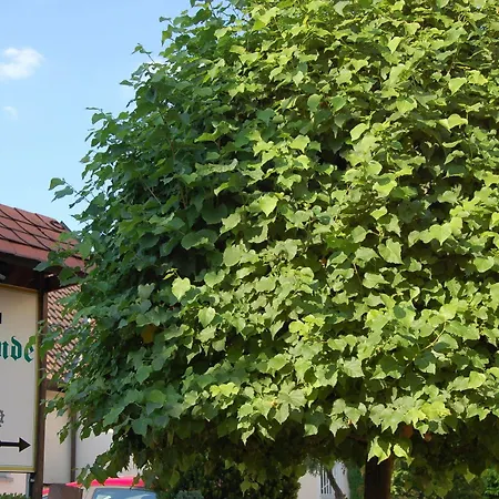 Zur Linde Hotel